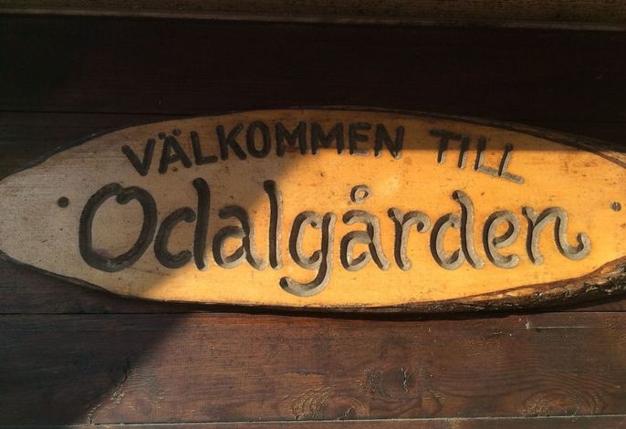 Bild 19