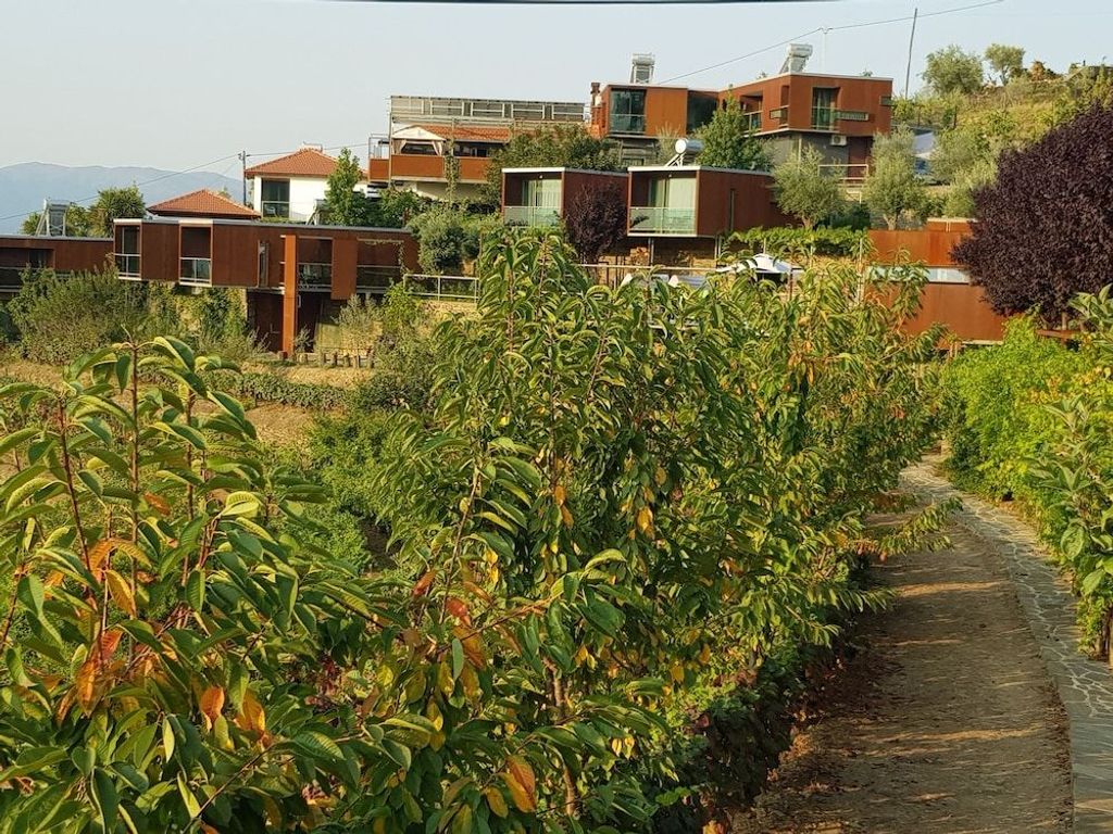 Casas de Campo Vila Marim