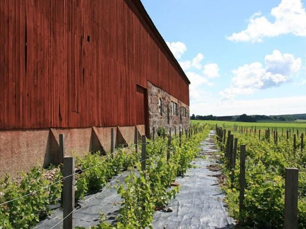 Blaxsta Vingård
