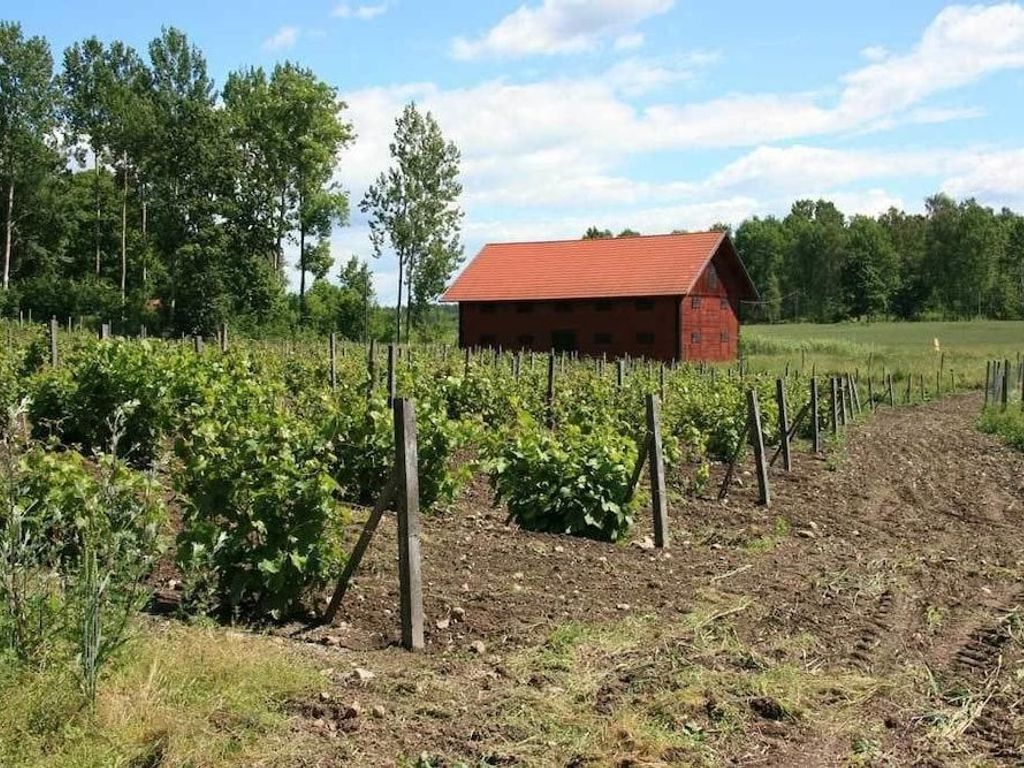 Blaxsta Vingård