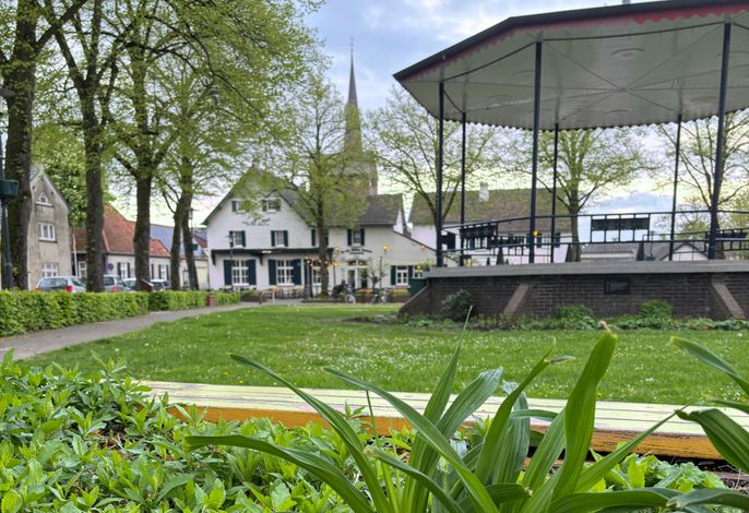 Bild 15