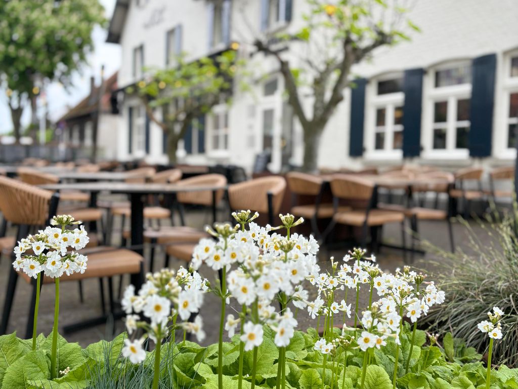Hotel In de Witte Dame