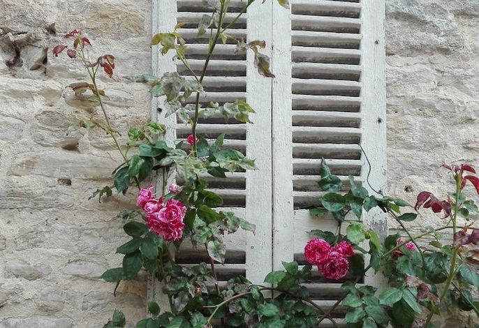 Bild 88