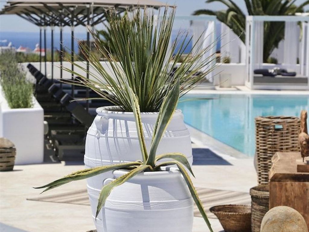 Livin Mykonos Hotel - Adults Only by Mr and Mrs White