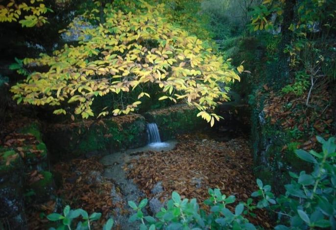 Bild 24