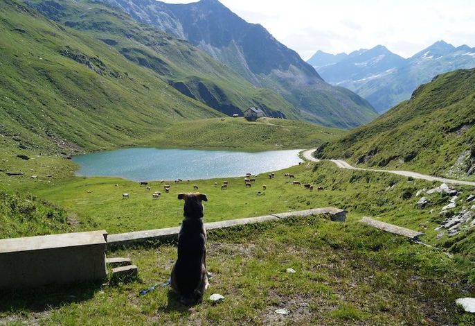 Bild 5