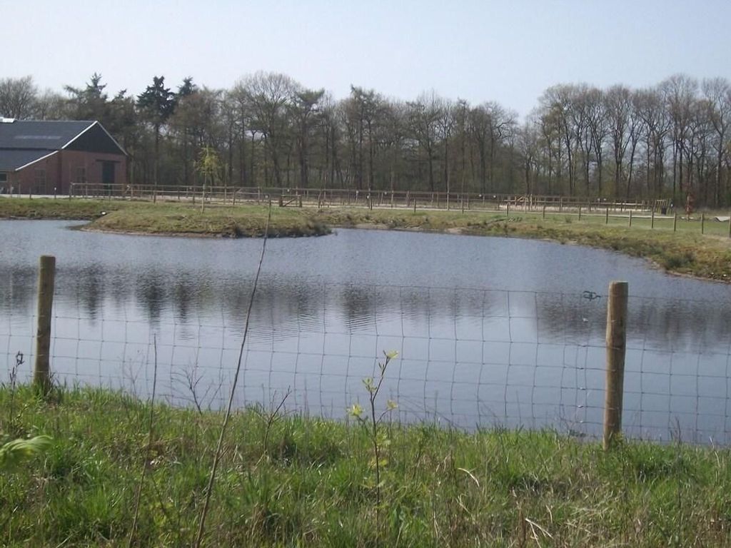 Horsetellerie Rheezerveen