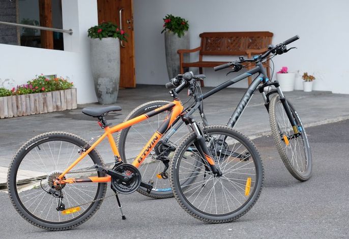 Bild 15