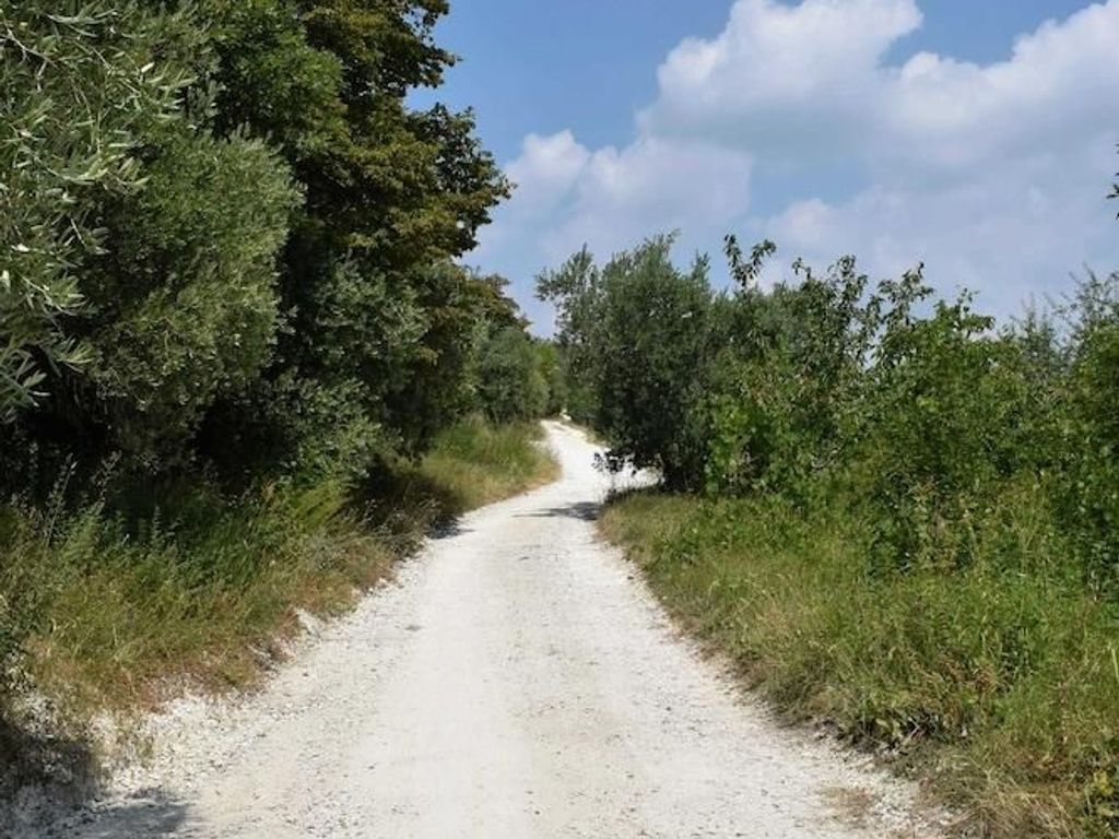 Agriturismo Borgo Valfredda