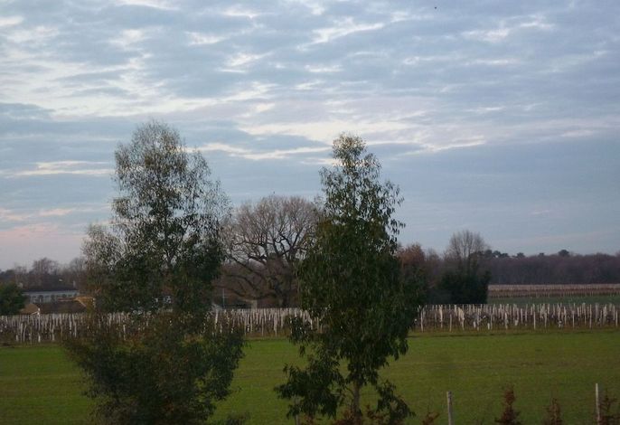 Bild 36