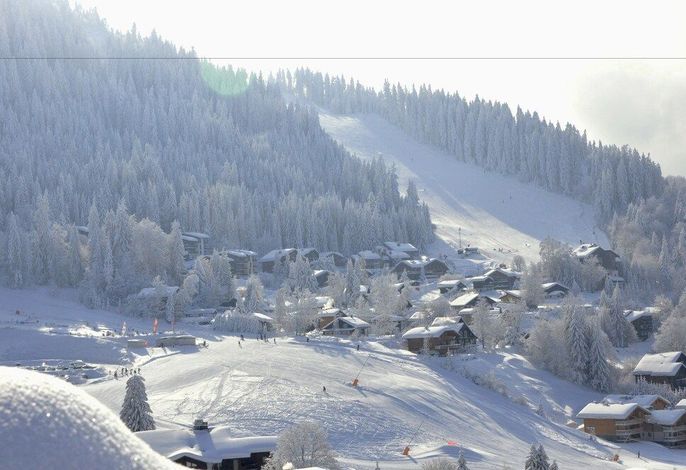 Bild 7