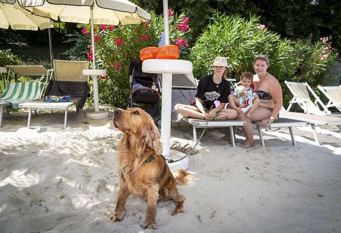 Bild 8
