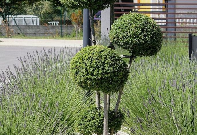 Bild 39