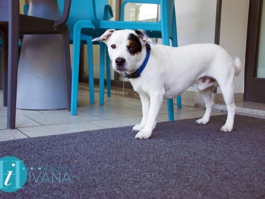 Hotel Ivana