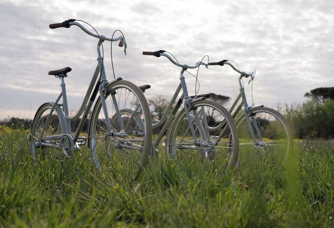 Bild 20
