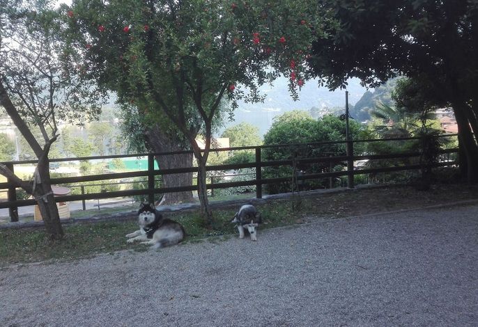 Bild 9