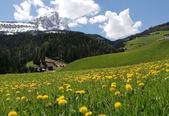 Bild 69