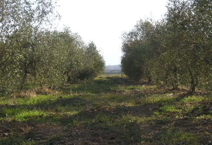 Bild 47