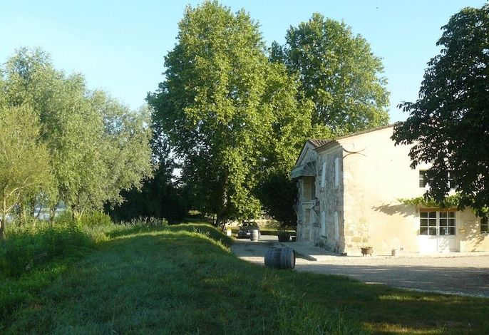 Bild 51