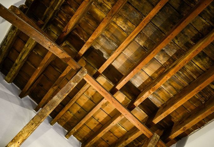Bild 121