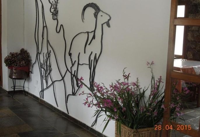 Bild 44