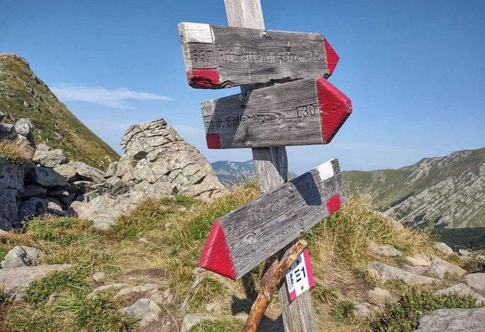 Bild 60