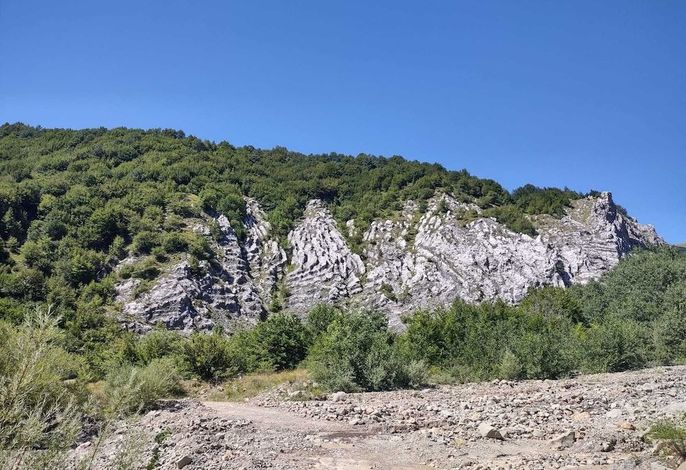 Bild 54