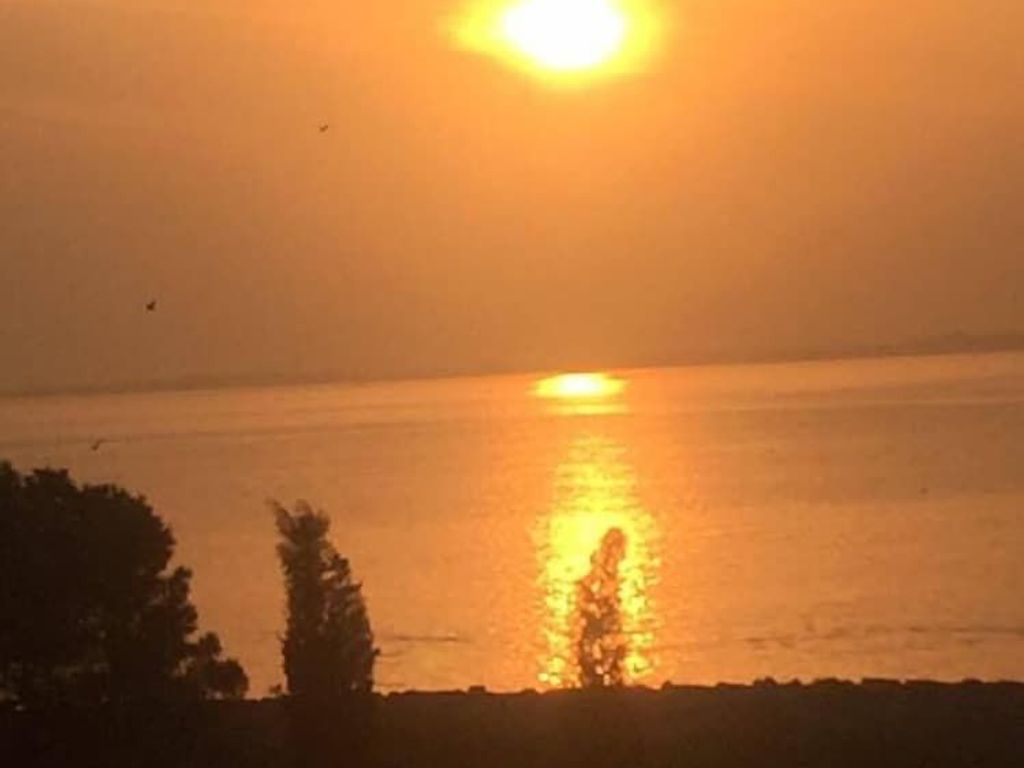 Asya Hotel Darica