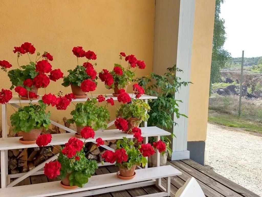 Gruvortens Bed & Breakfast