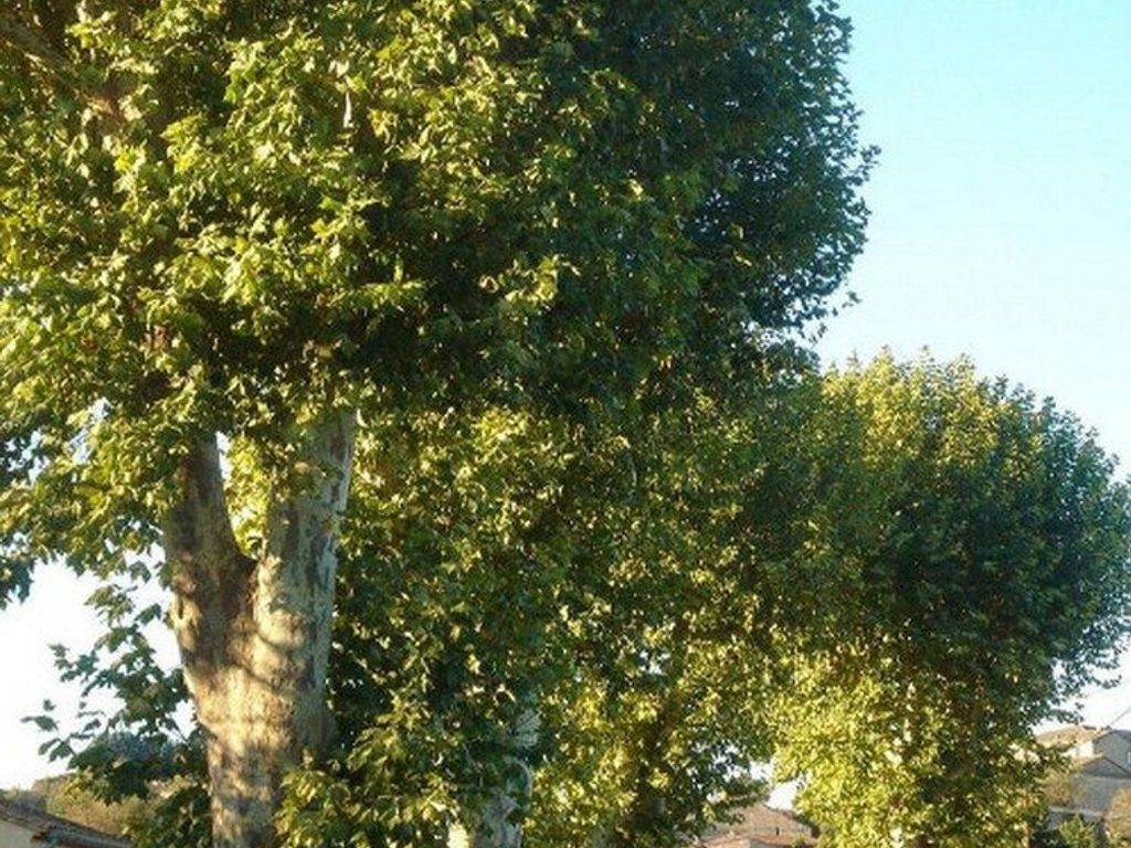 Le Clos Occitan