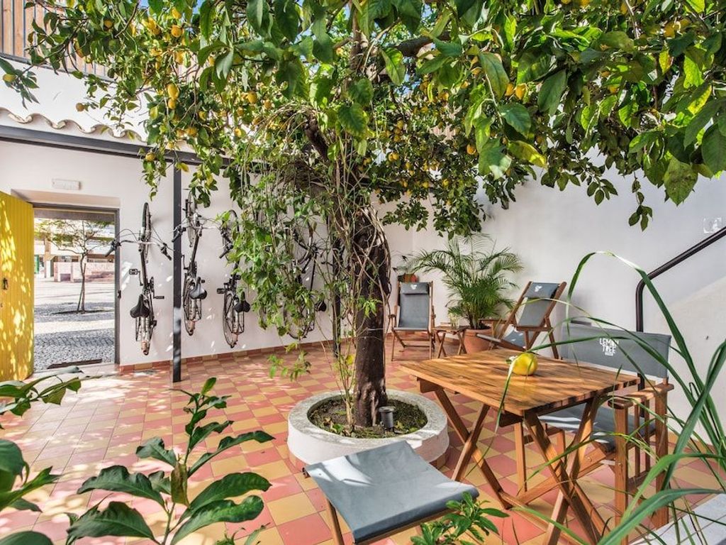 Lemon Tree Stay