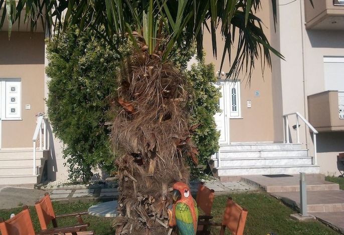 Bild 41