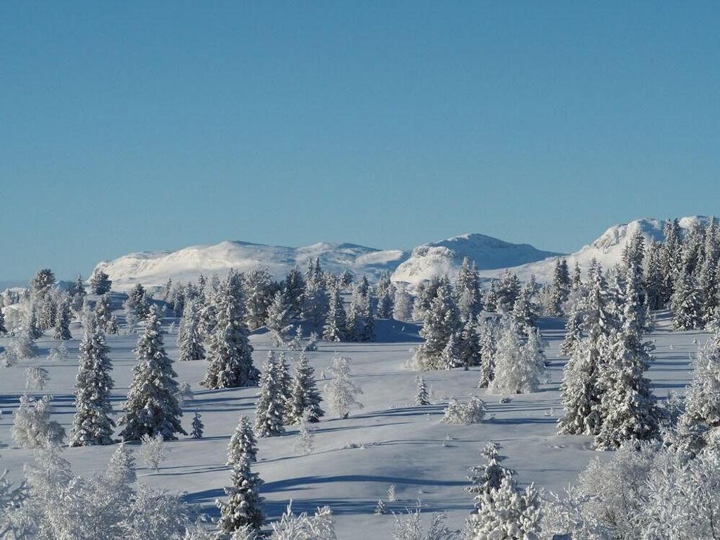 Liatoppen Fjellstue