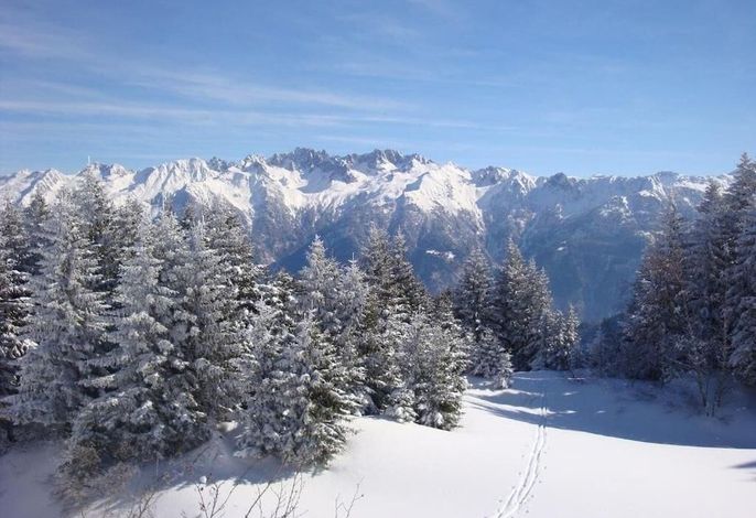 Bild 29