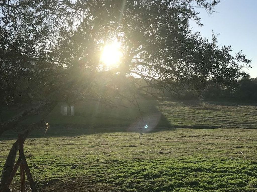 Finca La vega