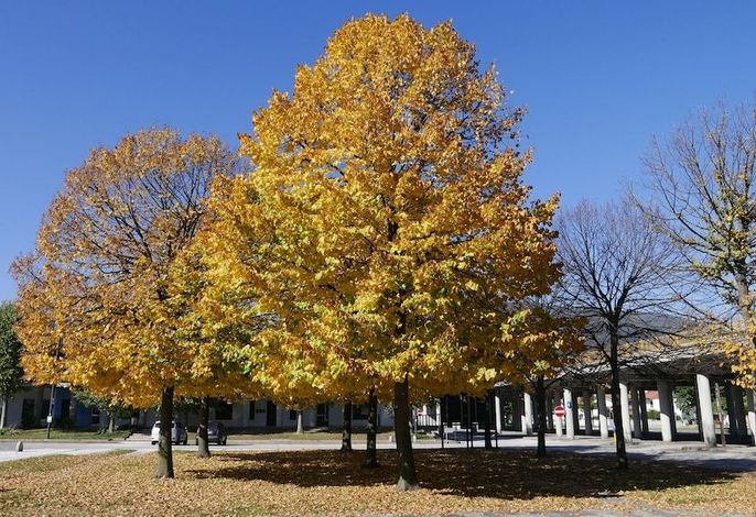 Bild 23