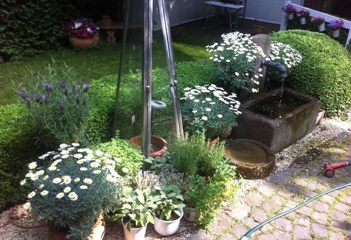 Bild 21