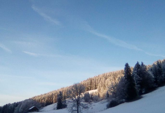 Bild 14