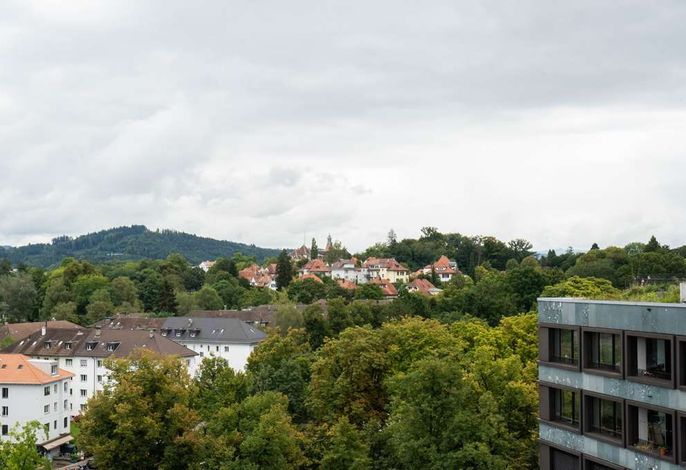 Bild 50
