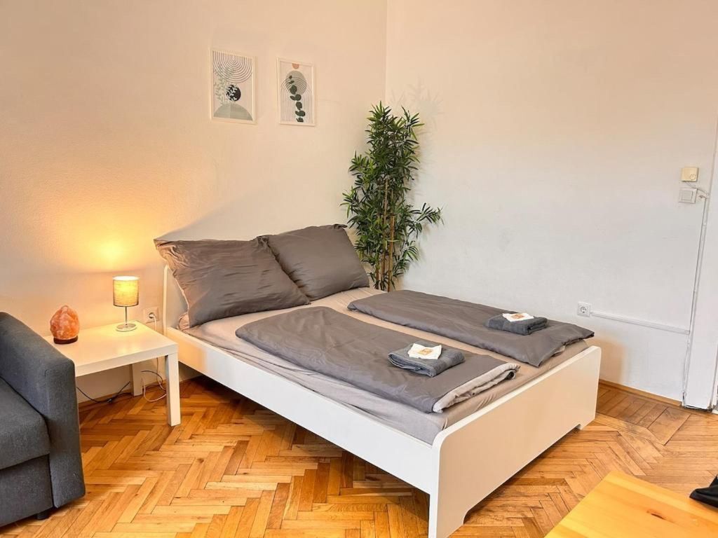 Spacious Apartment