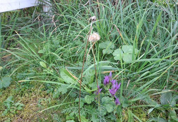 Bild 13