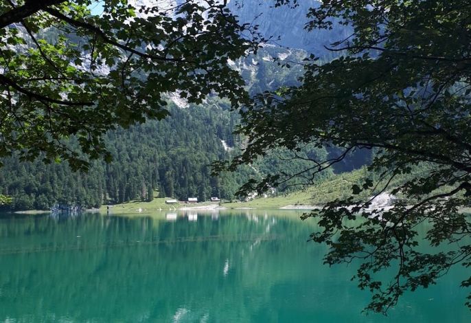 Bild 15