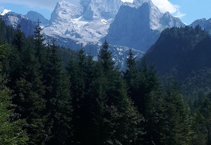 Bild 14