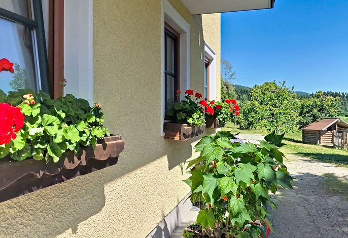 Bild 18
