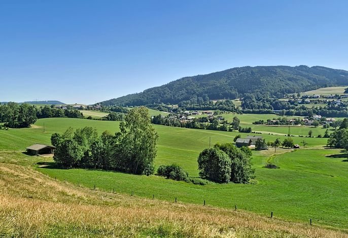 Bild 13
