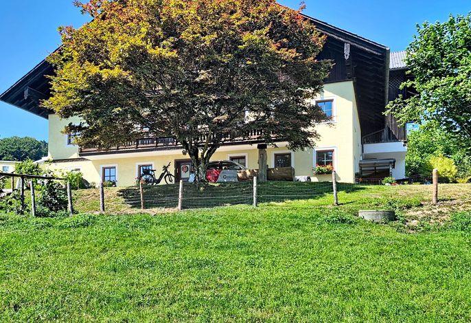 Bild 17