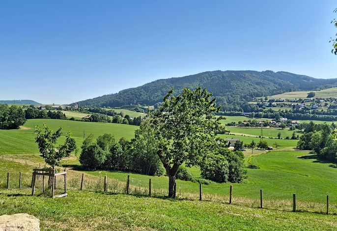 Bild 12
