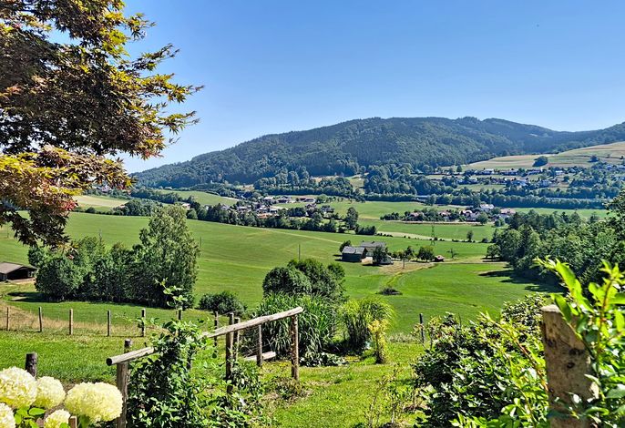 Bild 19