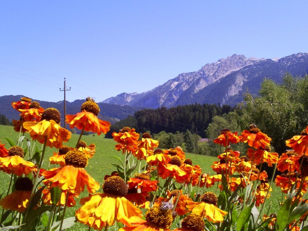 Herbst in Abtenau