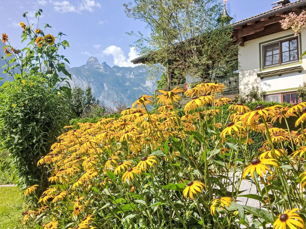 Gsenger in Abtenau